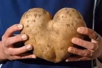 Video: 5 công dụng thần kỳ của khoai tây