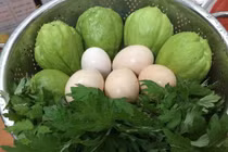 Ngưỡng mộ bà mẹ Hà thành trồng rau, nuôi chim gà trên sân thượng