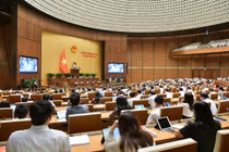 Hôm nay, 7/11, Quốc hội chất vấn về giáo dục và đào tạo