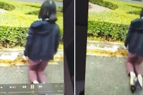 Giáo viên quỳ gối xin gặp lãnh đạo tỉnh Đắk Lắk, vì sao?