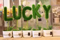 Top con giáp may mắn đỉnh điểm vào cuối tháng 4/2017 