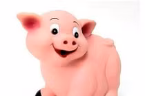 Đoán giải vận mệnh tuổi Hợi trong năm 2015