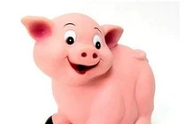 Đoán giải vận mệnh tuổi Hợi trong năm 2015