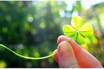 Top con giáp "ngồi mát ăn bát vàng" trong tháng 6/2017