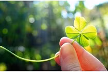 Top con giáp "ngồi mát ăn bát vàng" trong tháng 6/2017