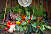 Dự đoán ngày mới 20/03/2018 cho 12 con giáp