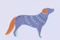 Dự đoán tử vi tuổi Tuất năm Canh Tý 2020: Quan lộ thênh thang, tài vận chói sáng 