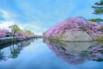 Top 4 con giáp dễ làm nên đại nghiệp, công danh sáng ngời 