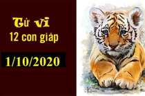 Dự báo ngày mới 01/10/2020 cho 12 con giáp: Tý thắng lớn, Mùi phòng tiểu nhân