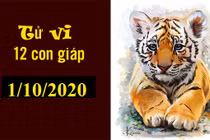 Dự báo ngày mới 01/10/2020 cho 12 con giáp: Tý thắng lớn, Mùi phòng tiểu nhân