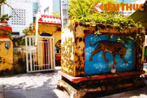 Khám phá mộ cổ bí ẩn từ TK 19 giữa Sài Gòn 