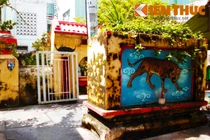 Khám phá mộ cổ bí ẩn từ TK 19 giữa Sài Gòn 