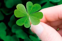 Top con giáp vận đỏ phừng phừng nửa đầu tháng 5/2017