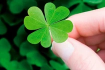 Top con giáp vận đỏ phừng phừng nửa đầu tháng 5/2017