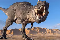 Top 10 địa điểm xem dấu chân khủng long trải dài khắp nước Mỹ