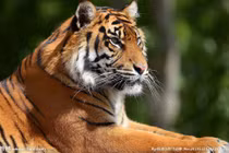 Dự đoán ngày mới 02/08/2018 cho 12 con giáp