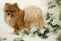 Hết khổ rồi, 4 con giáp hốt tiền mỏi tay, nhà xe chờ sẵn 2022