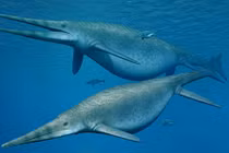 Kinh ngạc hoá thạch hoàn chỉnh hiếm có của loài ngư long