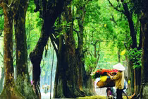 Dự đoán ngày mới 12/03/2018 cho 12 con giáp