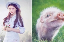 1 tuần tới: 3 con giáp vận rủi tránh xa, tắm trong biển tiền 