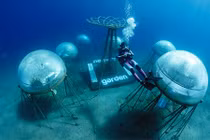 Độc đáo trang trại trồng rau dưới đáy biển đầu tiên trên thế giới