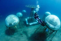 Độc đáo trang trại trồng rau dưới đáy biển đầu tiên trên thế giới