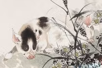 Top con giáp bỗng dưng phát lộc sau tuổi 30 