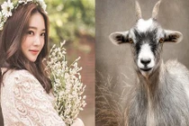 Cuối tháng 4/2023: Bốn con giáp tài lộc đổ như mưa, hoan hỷ đón nhận 