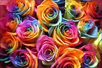 Ba con giáp được thần may mắn gõ cửa trong 60 ngày tới