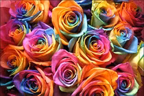 Ba con giáp được thần may mắn gõ cửa trong 60 ngày tới