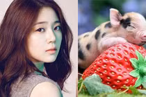 Rằm tháng Giêng: 3 con giáp càng chăm chỉ càng phất phát, giàu khủng