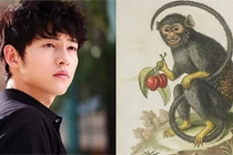 Sang 2022: 3 con giáp đỉnh cao làm giàu, vàng bạc hái đầy rổ