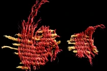 Bí ẩn mảnh vải nhuộm đỏ trong Hang Lầu Lâu 3.800 năm tuổi 