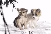 Cứ sang năm 2022, hai con giáp tới thời hoàng kim, tài lộc vượng phát 