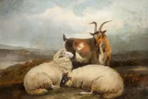 Tháng 6 âm lịch, 4 con giáp bị tiểu nhân hãm hại tán gia bại sản