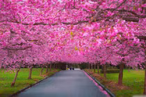 Dự đoán ngày mới 15/04/2018 cho 12 con giáp