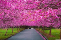 Dự đoán ngày mới 15/04/2018 cho 12 con giáp