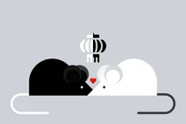 10 ngày cuối tháng 7, con giáp tài lộc gấp đôi gấp ba, hỷ sự liên tiếp