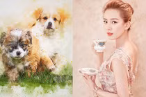 Dự đoán ngày mới 19/11/2020 cho 12 con giáp: Tuất thu bộn tiền 