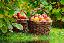 Dự đoán ngày mới 02/05/2018 cho 12 con giáp