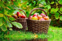 Dự đoán ngày mới 02/05/2018 cho 12 con giáp