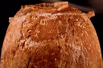 Khai quật bình ngà voi 6.000 năm tuổi, chấn động lai lịch thật