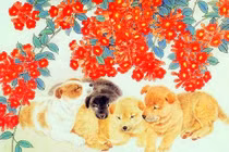 Từ cuối tháng 6/2023: Bốn con giáp đắc tài đắc lộc, tiền của đầy nhà 