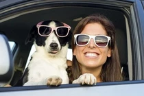 4 con giáp vừa hạnh phúc vừa giàu có từ giữa tháng 6/2017