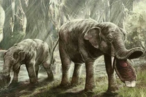 Hóa thạch sinh vật quái dị lộ ra, bí mật đại Tân sinh hé mở 