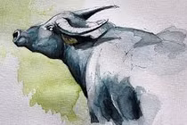 Tử vi ngày 27/9/2020 cho 12 con giáp: Tin vui tới tấp, tình cảm mặn nồng 