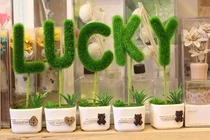 Ba con giáp vận đỏ hơn son, tiền bạc rủng rỉnh đầu tháng 6/2018