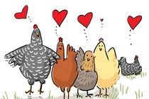 4 tháng liên tiếp, con giáp sau đào hoa phơi phới, tài lộc ập tới