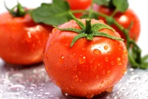 Dự đoán ngày mới 13/04/2018 cho 12 con giáp