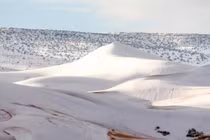 Kinh ngạc sa mạc Sahara chìm dưới lớp tuyết dày 1 m 